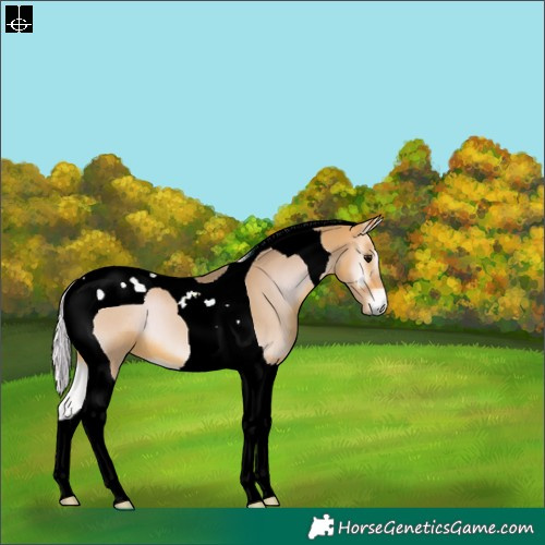 Horse Color:Watercolor Silver Bay Onyx Tobiano 