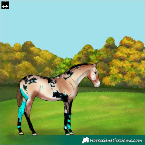Horse Color:Brown Pearl Onyx Tobiano 
