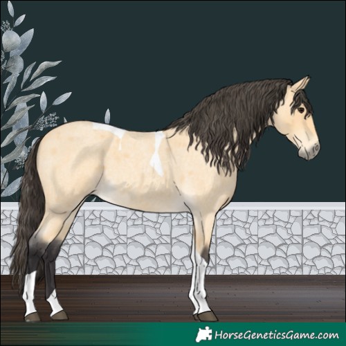 Horse Color:Buckskin Roan Tobiano 