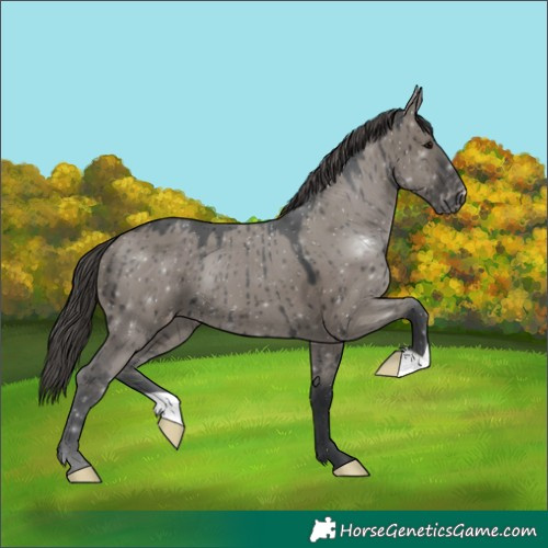 Horse Color:Grullo Varnish Brindle