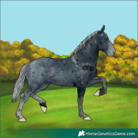 Horse Color:ERROR: UNKNOWN ANOMALY