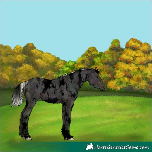 Horse Color:Void Watercolor White Spotted Midnight Silver Bay Ice Dun Brindle 