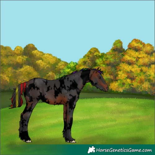 Horse Color:Void Painted White Spotted Bay 