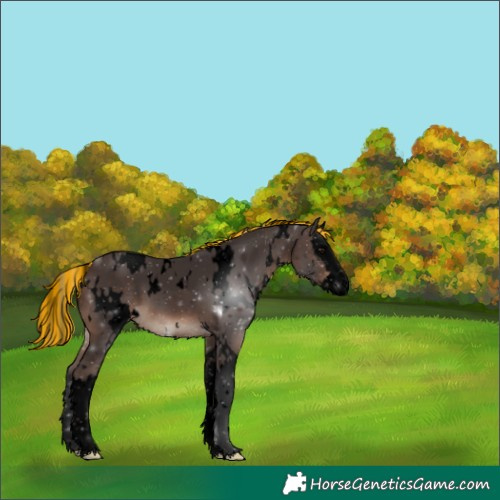 Horse Color:Void Painted White Spotted Silver Bay Splash 