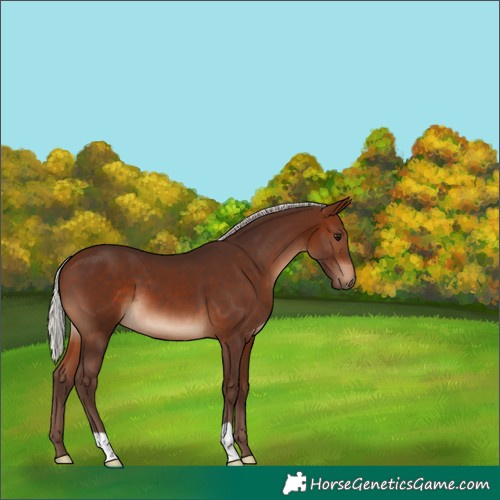 Horse Color:Silver Brown 