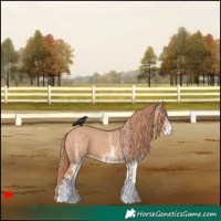 Horse Color:White Spotted Red Dun Varnish