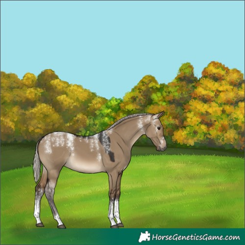 Horse Color:Powder White Gray Silver Brown Dun Tobiano 