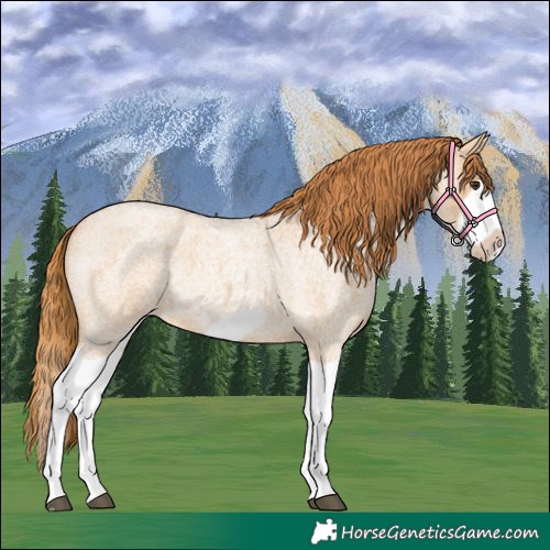 Horse Color:Red Dun Roan Splash Frame Rabicano 
