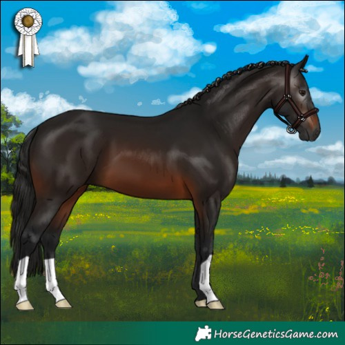 Horse Color:Gray Brown 