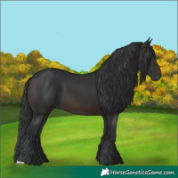Horse Color:Brown 