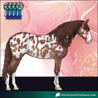 Horse Color:Chocolate Brown Near Leopard 