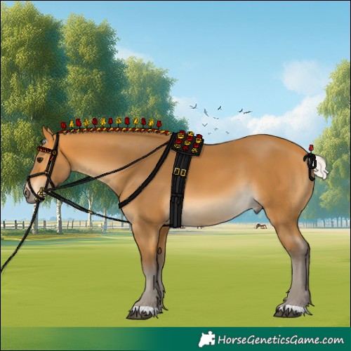 Horse Color:Silver Buckskin