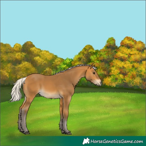 Horse Color:Silver Buckskin