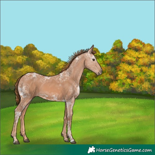 Horse Color:Chestnut Ice 