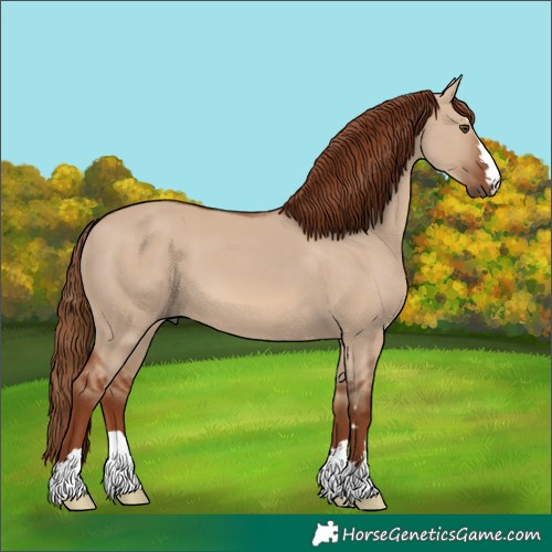 Horse Color:Red Dun 