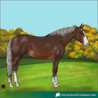 Horse Color:Silver Brown Sabino 