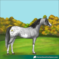 Horse Color:White Spotted Blue Roan Splash Frame Blanket 