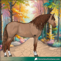 Horse Color:Red Dun 