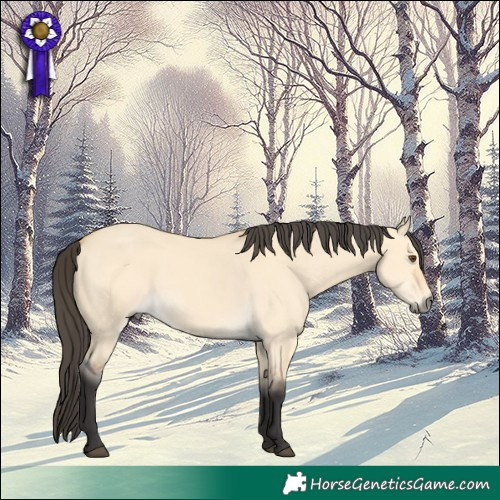 Horse Color:Buckskin Dun