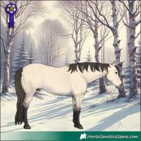 Horse Color:Buckskin Dun 