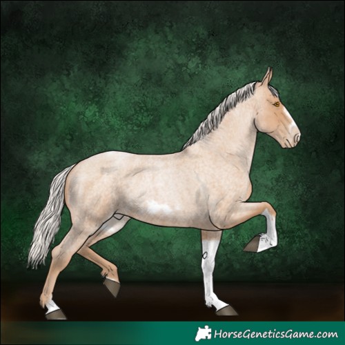 Horse Color:Silver Blue Roan Pearl Tobiano Frame 