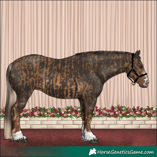 Horse Color:Chocolate Palomino and Liver Chestnut