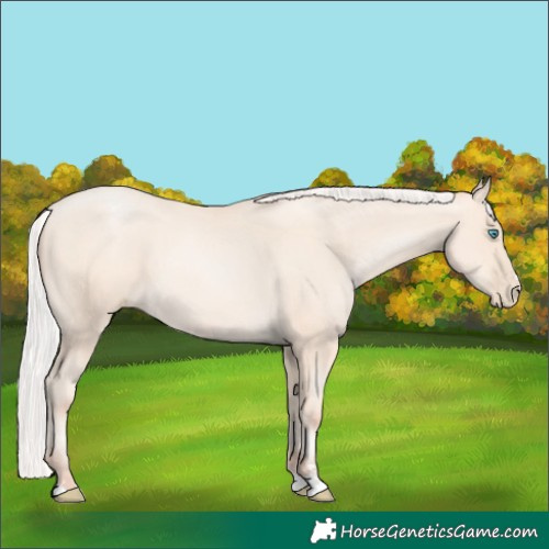 Horse Color:Silver Amber Cream Champagne Pearl