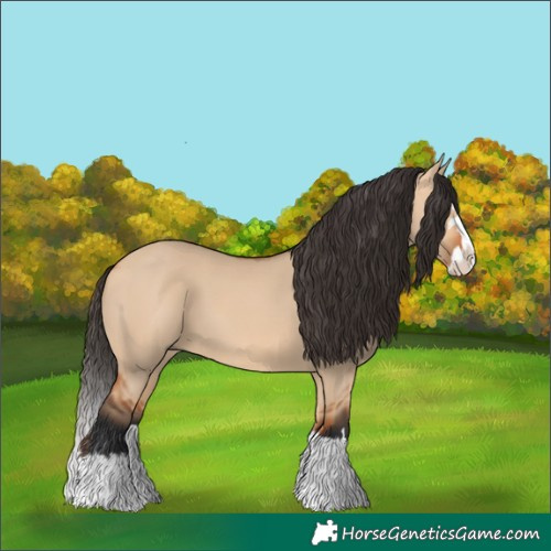 Horse Color:Bay Dun Splash 