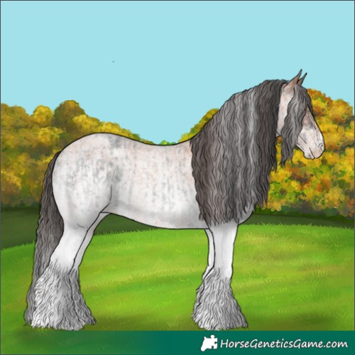 Horse Color:White Spotted Blue Roan Rabicano  and White Spotted Bay Roan Rabicano 