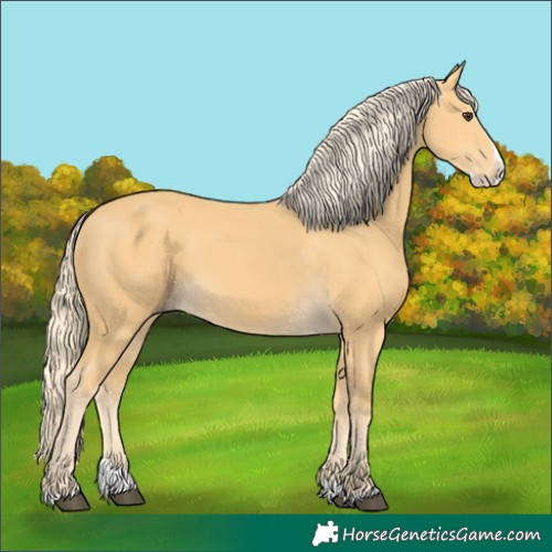 Horse Color:Palomino Splash 