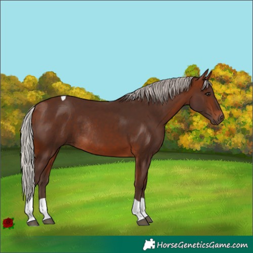 Horse Color:Silver Brown Tobiano Rabicano 