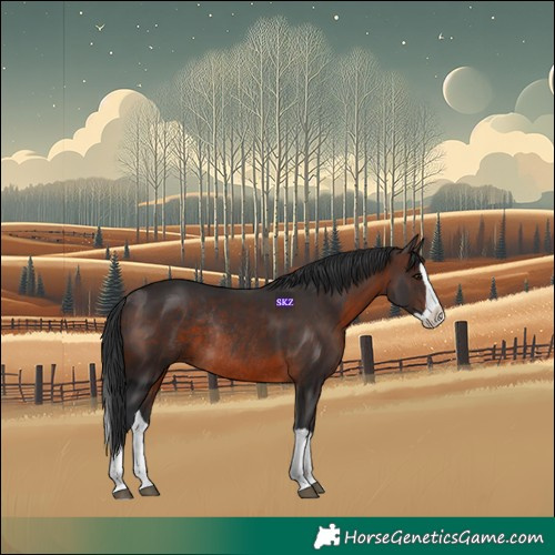 Horse Color:Brown Splash Rabicano 