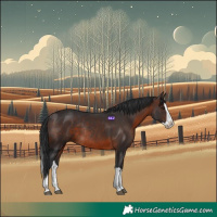 Horse Color:Brown Splash Rabicano 