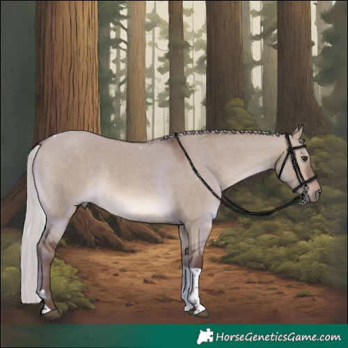 Horse Color:Silver Brown Dun Mushroom Tobiano Rabicano