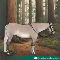 Horse Color:Silver Brown Dun Mushroom Tobiano Rabicano