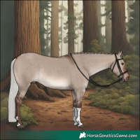 Horse Color:Silver Brown Dun Mushroom Tobiano Rabicano