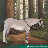 Horse Color:Silver Brown Dun Mushroom Tobiano Rabicano 