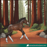 Horse Color:Liver Chestnut 