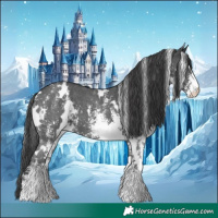 Horse Color:White Spotted Black Sabino 