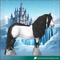 Horse Color:Black Frame