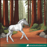 Horse Color:Gray Brown Tobiano Rabicano 