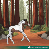Horse Color:Brown Tobiano Rabicano 