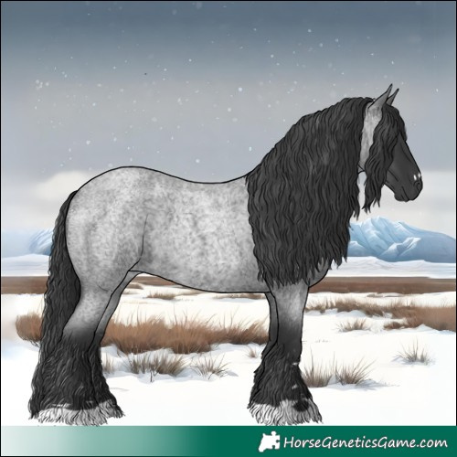 Horse Color:Blue Roan 