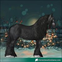 Horse Color:Black and Gray Black