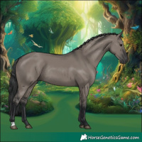Horse Color:Grullo Rabicano 