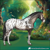 Horse Color:White Spotted Blue Onyx Appaloosa Rabicano 