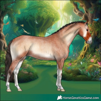 Horse Color:Bay Roan Onyx Rabicano