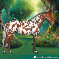 Horse Color:Silver Bay Near Leopard