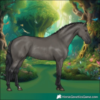 Horse Color:Grullo Rabicano 