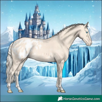 Horse Color:Cremello Appaloosa